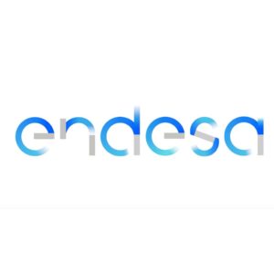 endesa-people first consulting
