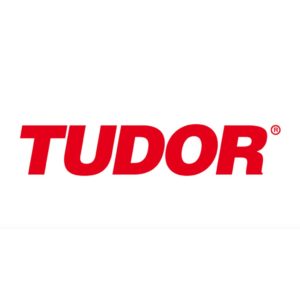 tudor-people first consulting